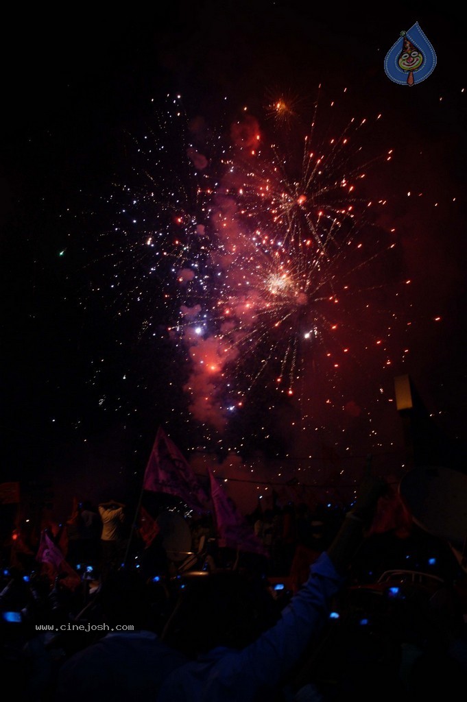 Telangana Formation Celebrations  - 125 / 319 photos