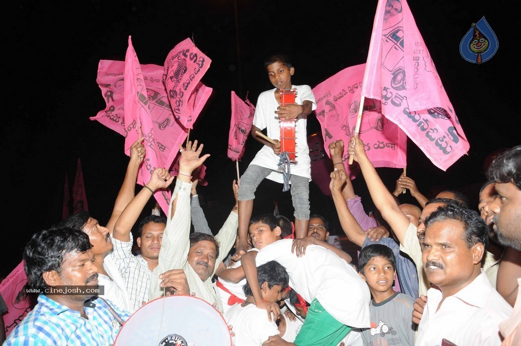 Telangana Formation Celebrations  - 143 / 319 photos