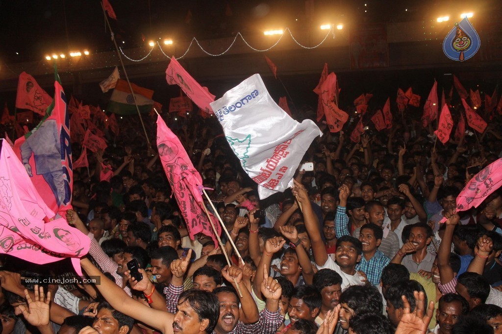 Telangana Formation Celebrations  - 177 / 319 photos
