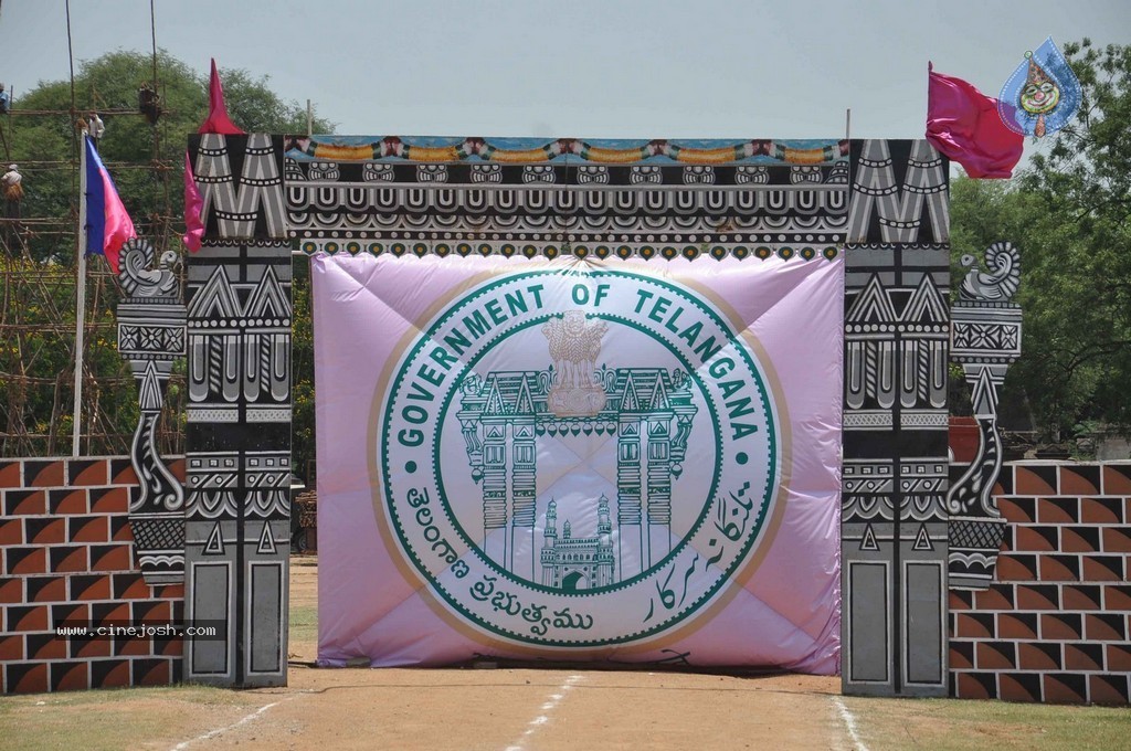 Telangana Formation Celebrations  - 233 / 319 photos