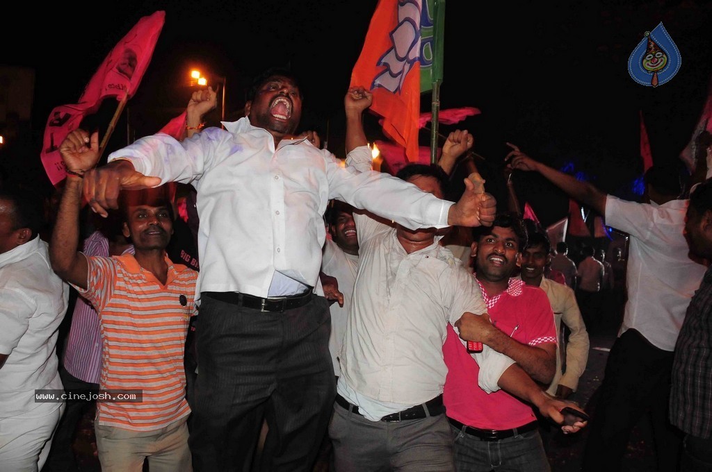 Telangana Formation Celebrations  - 240 / 319 photos