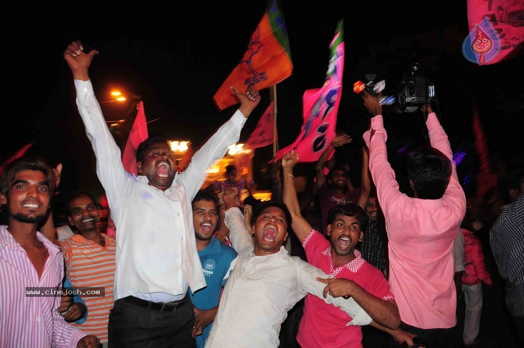 Telangana Formation Celebrations  - 276 / 319 photos