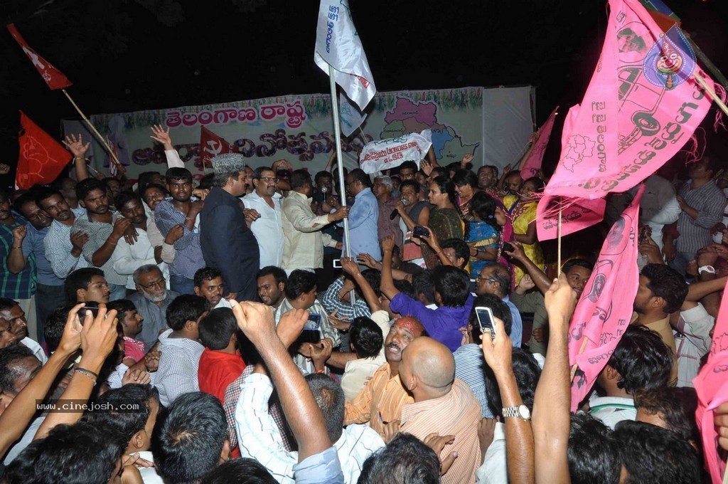 Telangana Formation Celebrations  - 314 / 319 photos