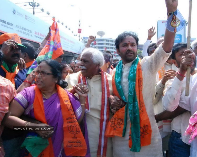 Telangana Million March Photos - 4 / 104 photos