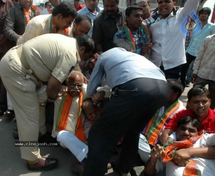 Telangana Million March Photos - 84 / 104 photos