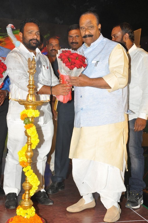 Telangana Premier League Grand Launch Event - 26 / 59 photos