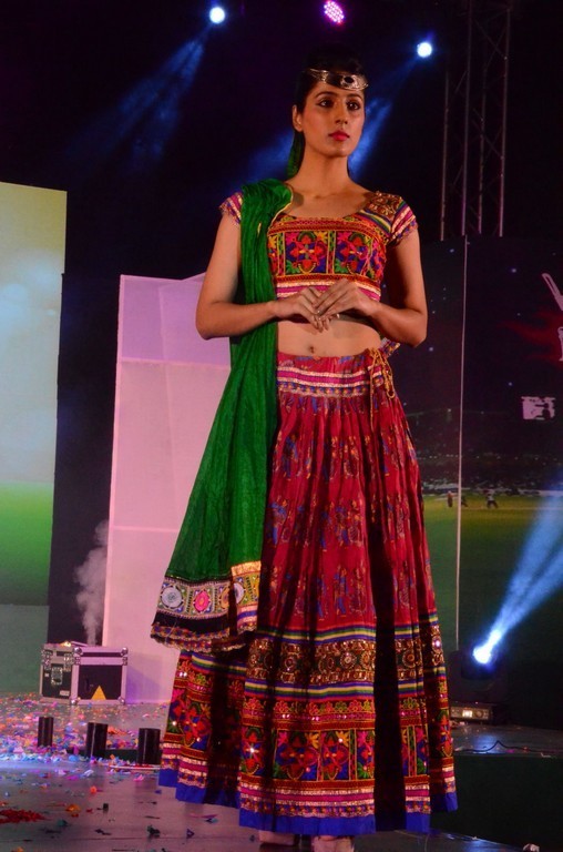 Telangana Premier League Grand Launch Event - 51 / 59 photos