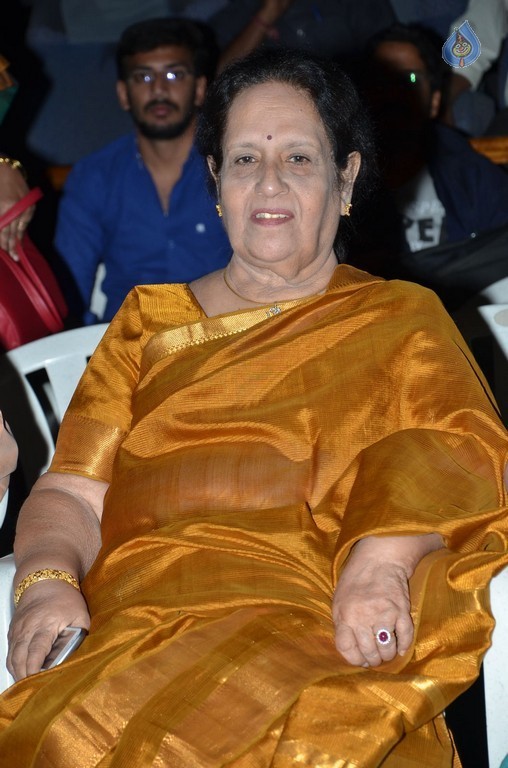 Telugu Cinema Talli Puttina Roju Panduga Event - 29 / 63 photos
