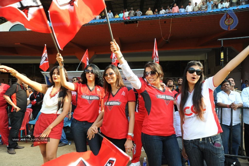 Telugu Warriors VS Bengal Tigers Match - 24 / 141 photos
