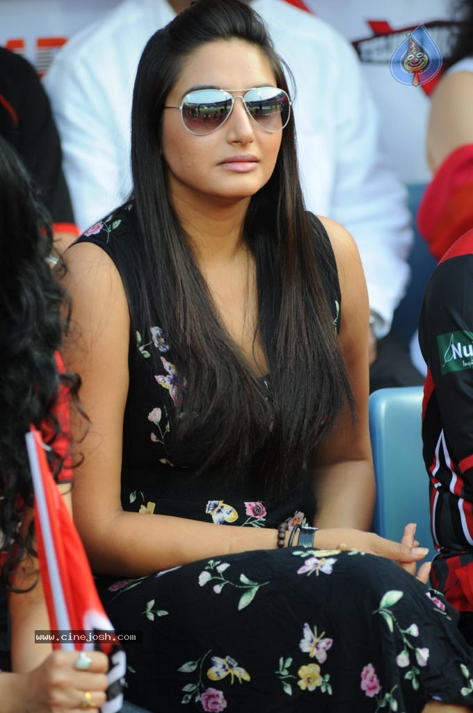 Telugu Warriors VS Bengal Tigers Match - 31 / 141 photos