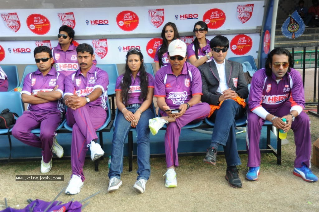 Telugu Warriors VS Bengal Tigers Match - 70 / 141 photos