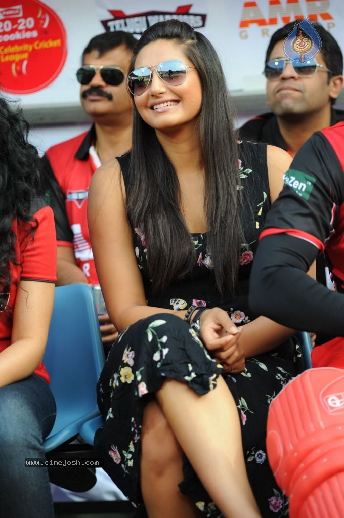 Telugu Warriors VS Bengal Tigers Match - 71 / 141 photos