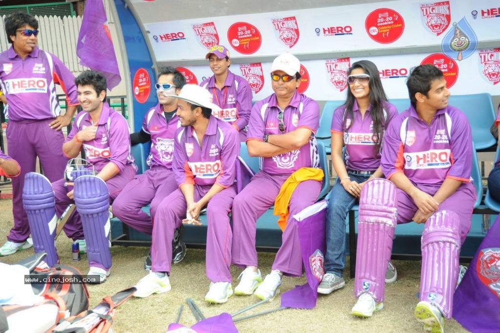 Telugu Warriors VS Bengal Tigers Match - 94 / 141 photos