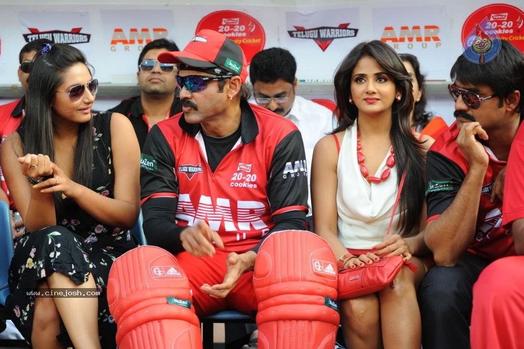 Telugu Warriors VS Bengal Tigers Match - 124 / 141 photos