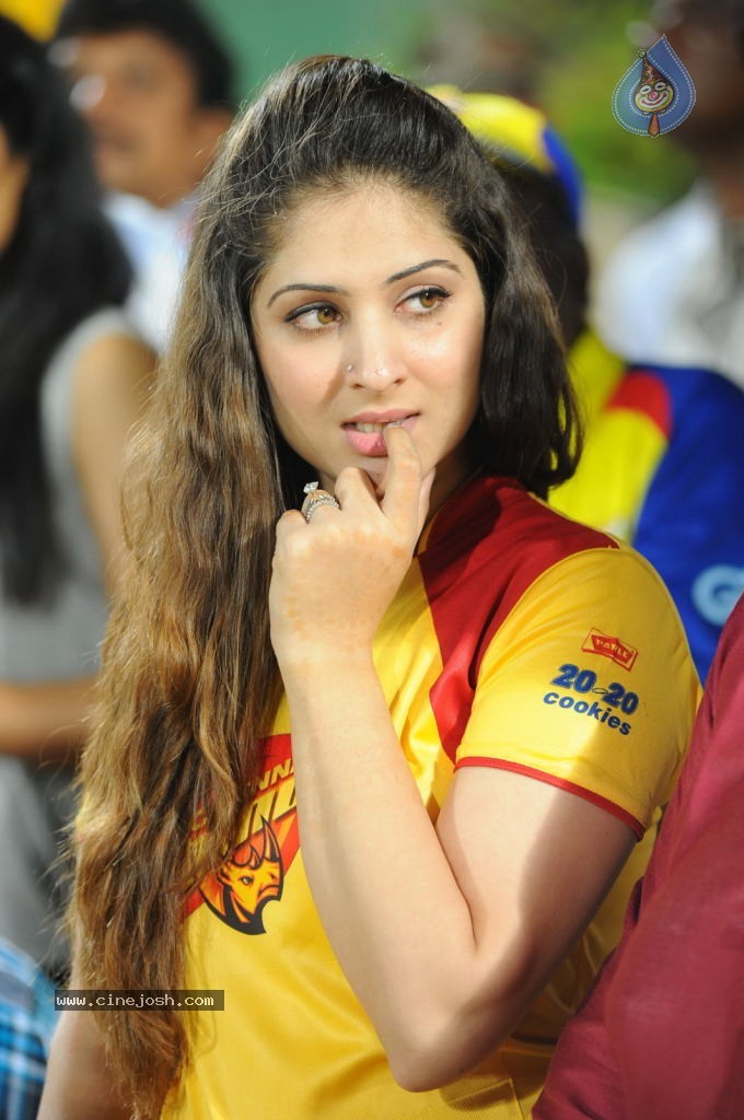 Telugu Warriors VS Chennai Rhinos Match  - 33 / 61 photos