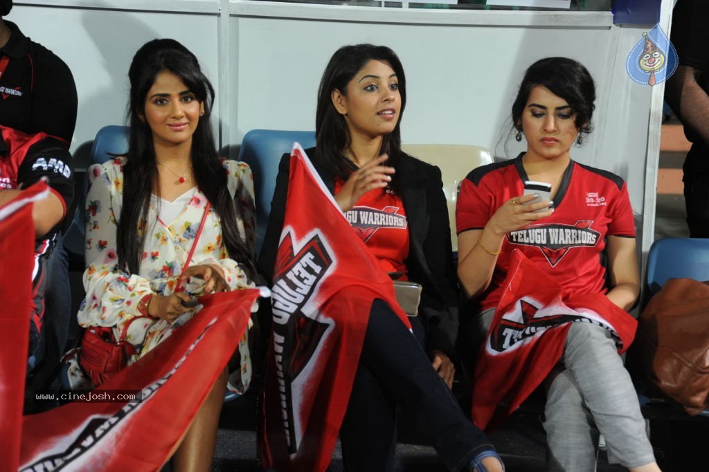 Chennai Rhinos VS Telugu Warriors  Semi Final Match - 35 / 96 photos