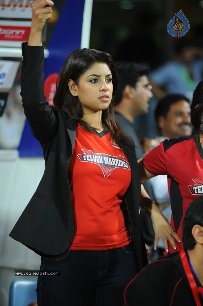 Chennai Rhinos VS Telugu Warriors  Semi Final Match - 90 / 96 photos