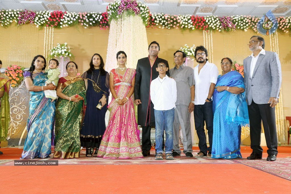 TG Thyagarajan Son Wedding Reception - 32 / 58 photos