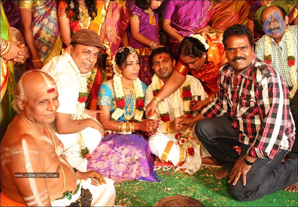 Thambi Ramaiah Daughter Wedding n Reception - 38 / 68 photos