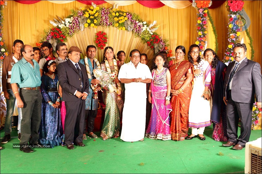 Thambi Ramaiah Daughter Wedding n Reception - 39 / 68 photos