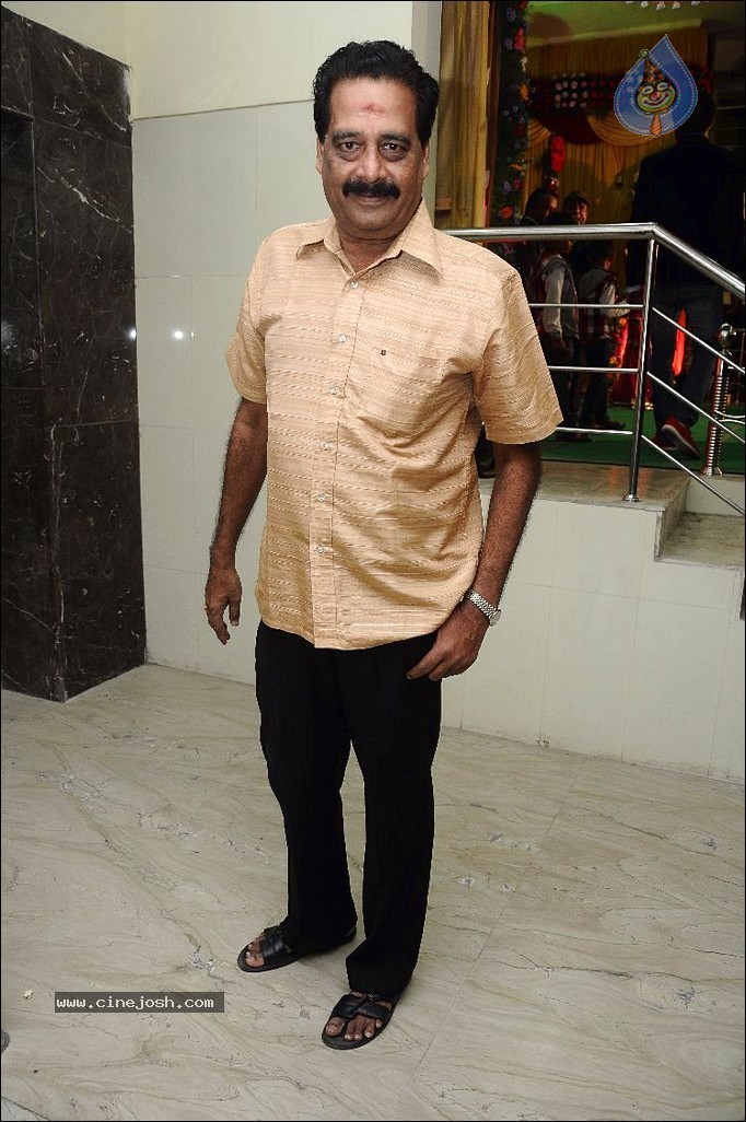 Thambi Ramaiah Daughter Wedding n Reception - 41 / 68 photos
