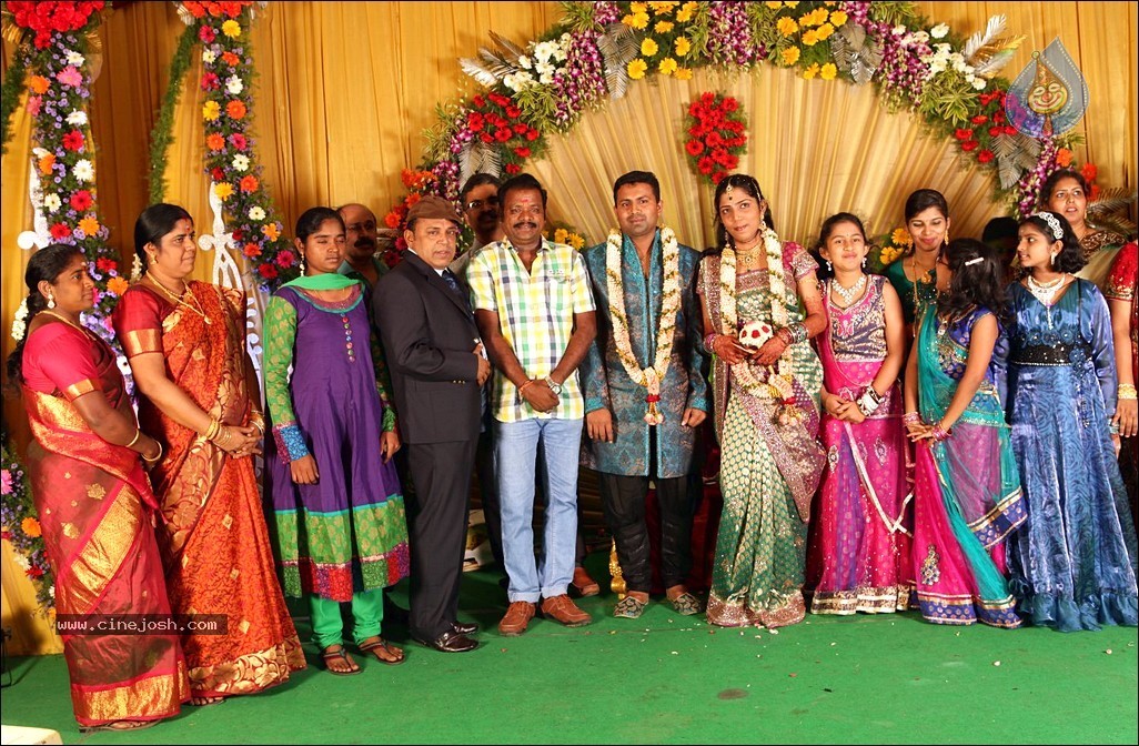Thambi Ramaiah Daughter Wedding n Reception - 54 / 68 photos