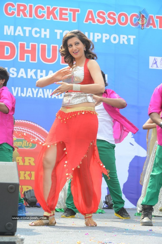 Tollywood Fund Rising Cricket Match - 14 / 14 photos