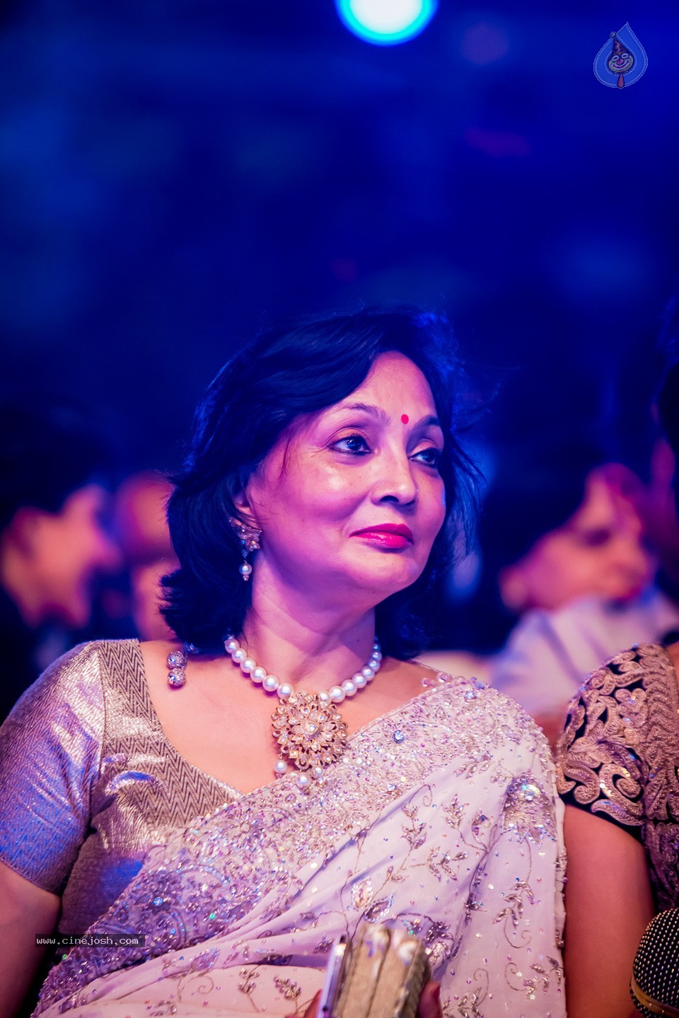 Top Celebs at SIIMA Awards 2014 - 35 / 150 photos