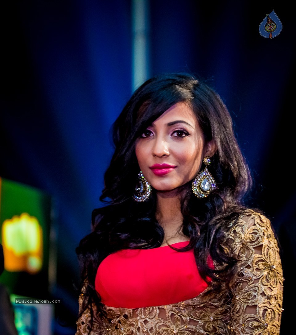 Top Celebs at SIIMA Awards 2014 - 57 / 150 photos