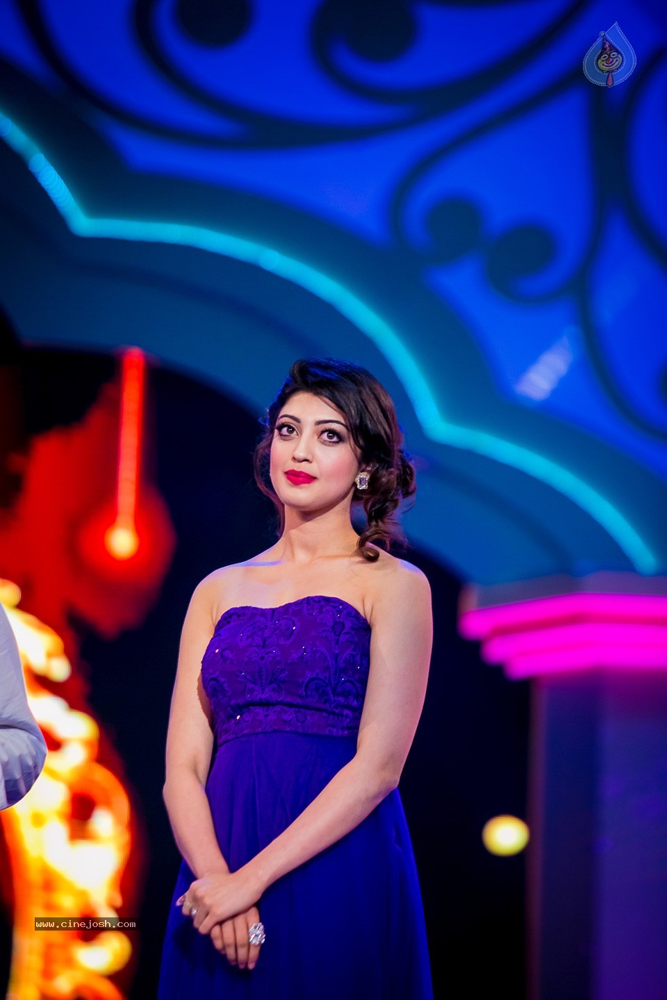 Top Celebs at SIIMA Awards 2014 - 66 / 150 photos