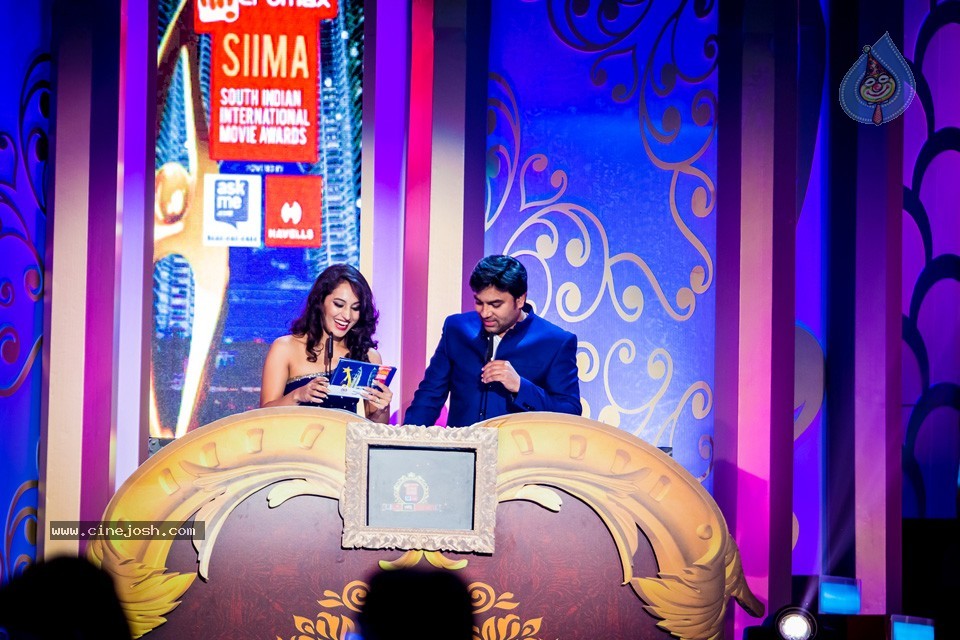 Top Celebs at SIIMA Awards 2014 - 81 / 150 photos