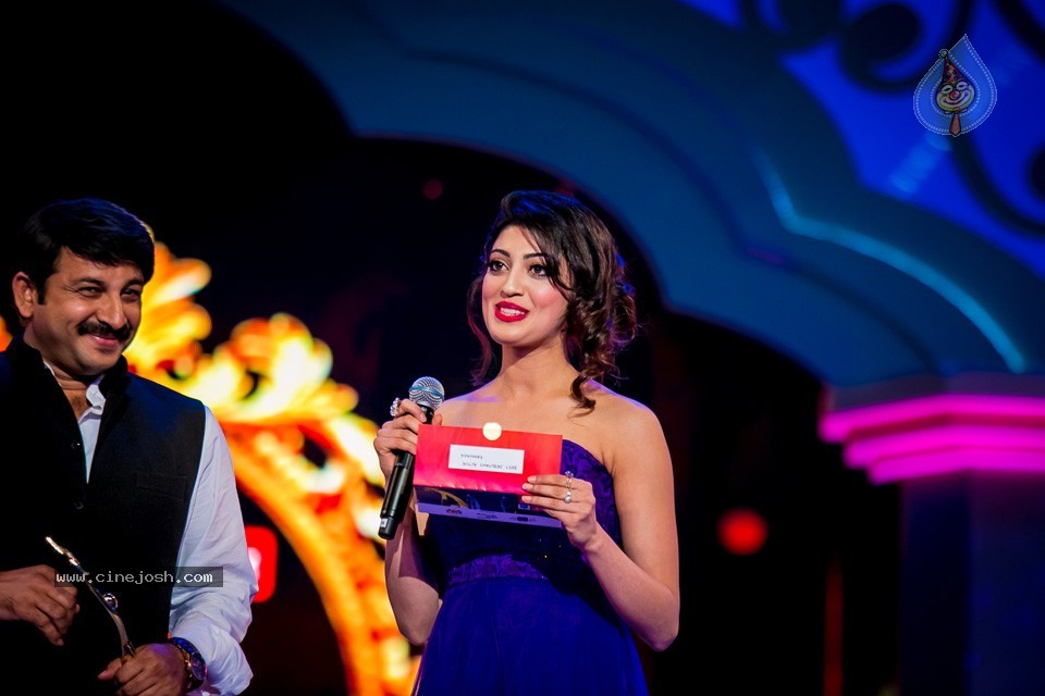 Top Celebs at SIIMA Awards 2014 - 87 / 150 photos