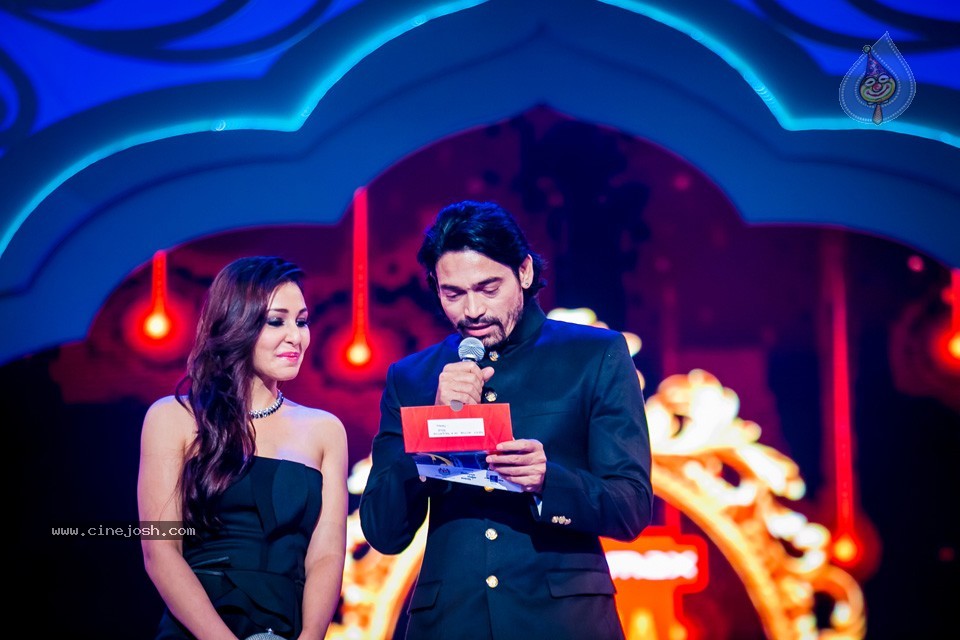 Top Celebs at SIIMA Awards 2014 - 89 / 150 photos