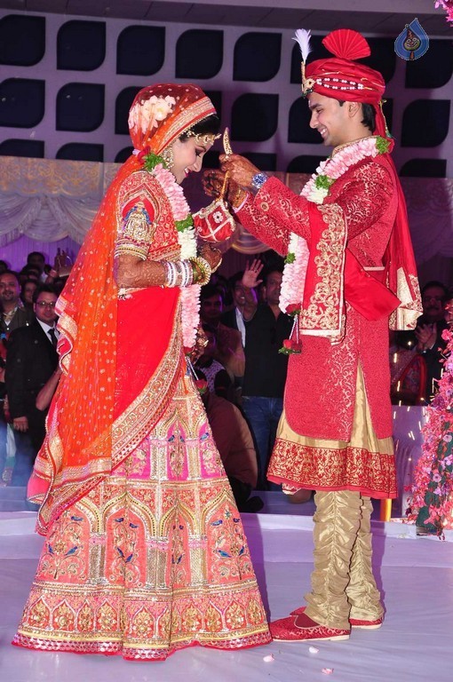 Trupthi and Ankit Wedding Reception - 17 / 57 photos