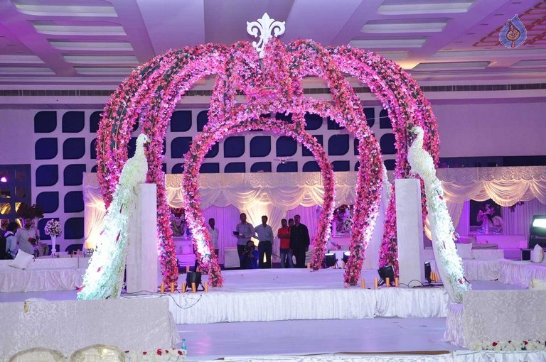 Trupthi and Ankit Wedding Reception - 46 / 57 photos