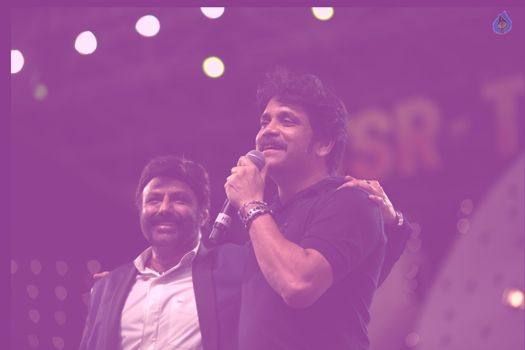 TSR - TV9 National Film Awards - 43 / 50 photos