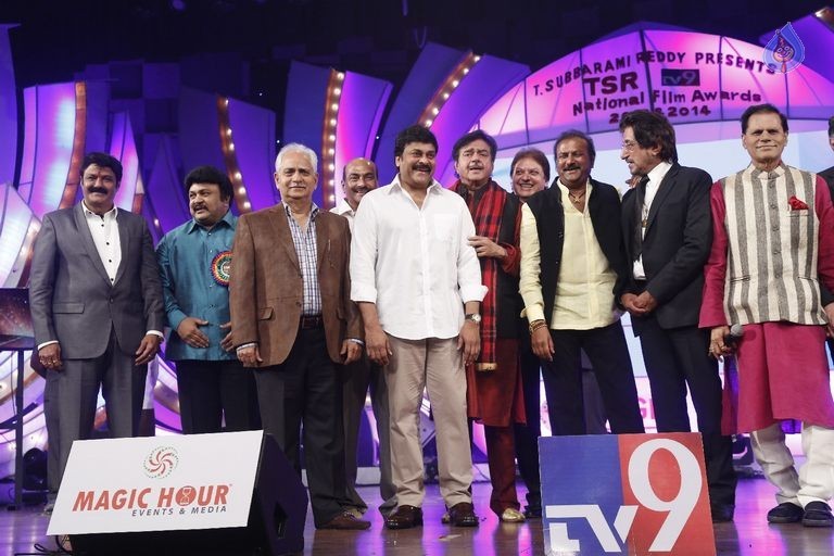 TSR - TV9 National Film Awards Photos 2 - 20 / 92 photos