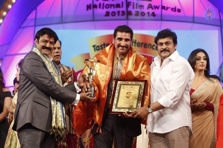 TSR - TV9 National Film Awards Photos 3 - 8 / 441 photos