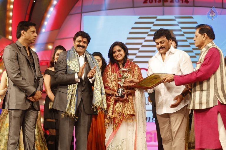 TSR - TV9 National Film Awards Photos 3 - 10 / 441 photos