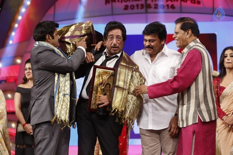 TSR - TV9 National Film Awards Photos 3 - 21 / 441 photos