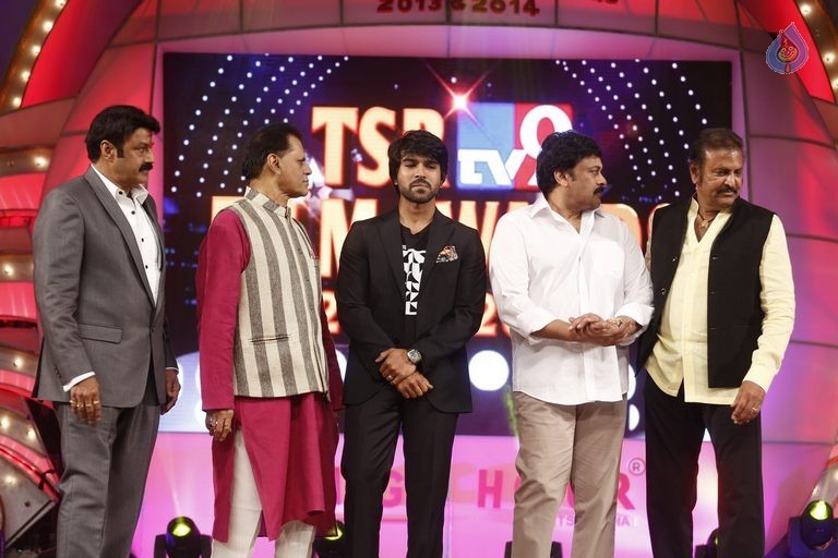 TSR - TV9 National Film Awards Photos 3 - 82 / 441 photos