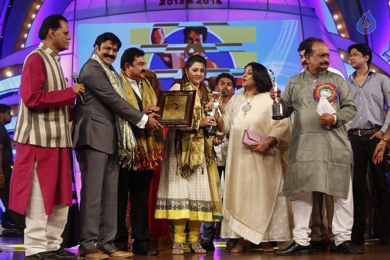 TSR - TV9 National Film Awards Photos 3 - 94 / 441 photos