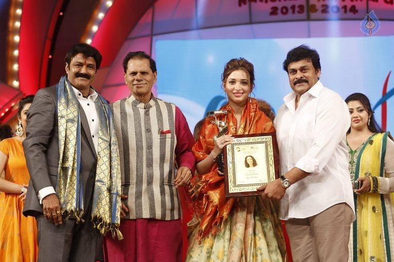 TSR - TV9 National Film Awards Photos 3 - 98 / 441 photos