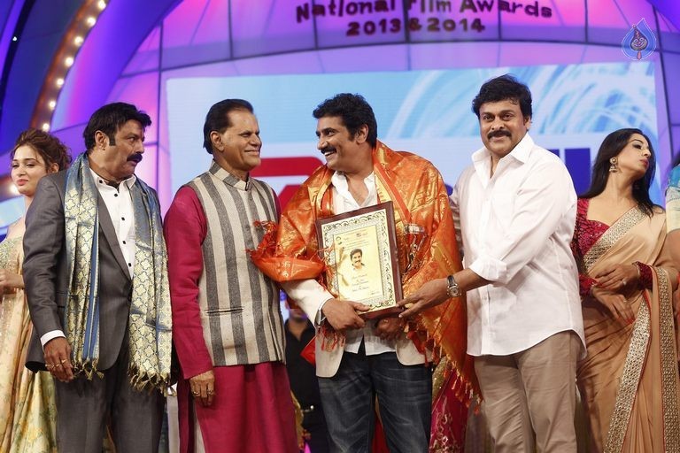 TSR - TV9 National Film Awards Photos 3 - 120 / 441 photos