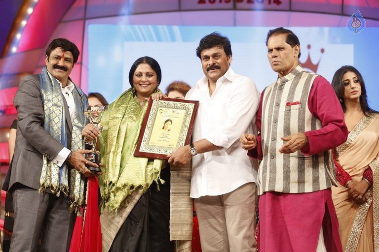 TSR - TV9 National Film Awards Photos 3 - 124 / 441 photos