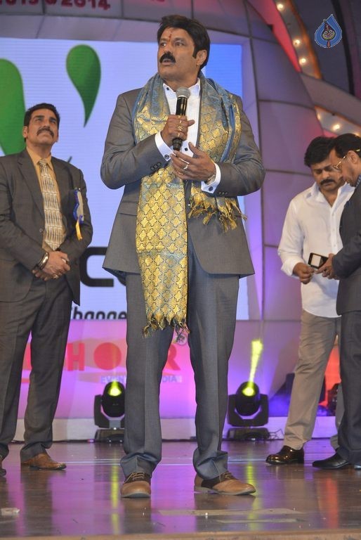 TSR - TV9 National Film Awards Photos 3 - 139 / 441 photos