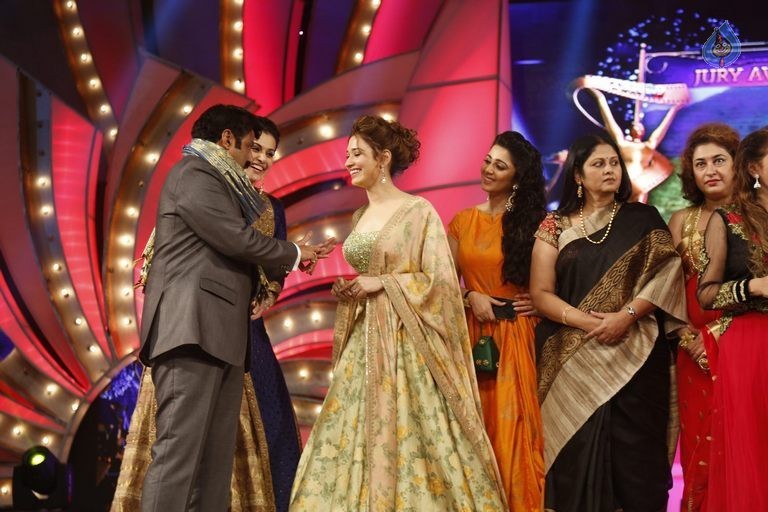 TSR - TV9 National Film Awards Photos 3 - 161 / 441 photos