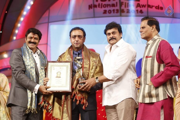 TSR - TV9 National Film Awards Photos 3 - 181 / 441 photos