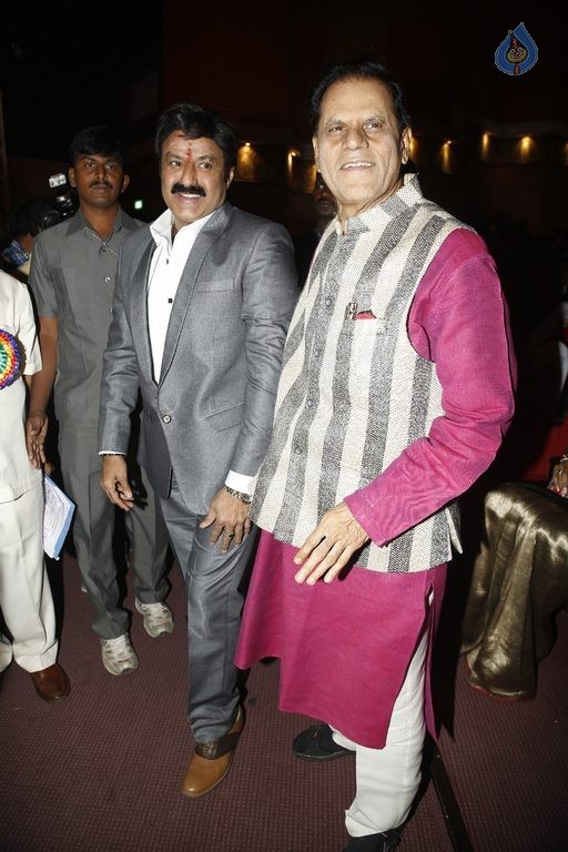 TSR - TV9 National Film Awards Photos 3 - 186 / 441 photos