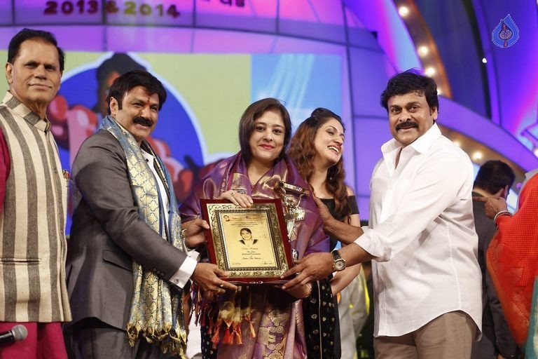 TSR - TV9 National Film Awards Photos 3 - 190 / 441 photos
